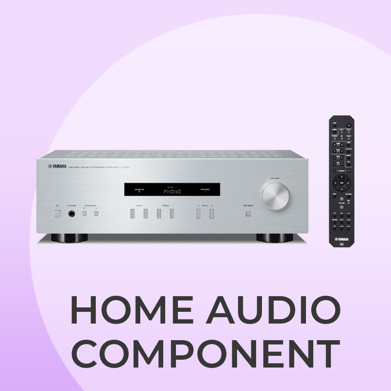 Home Audio Component