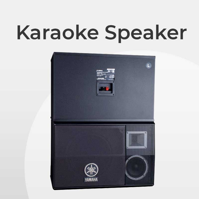 Karaoke Speaker