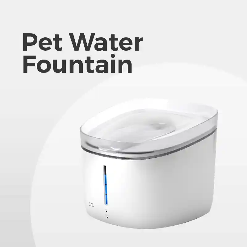 Pet Water Fountain