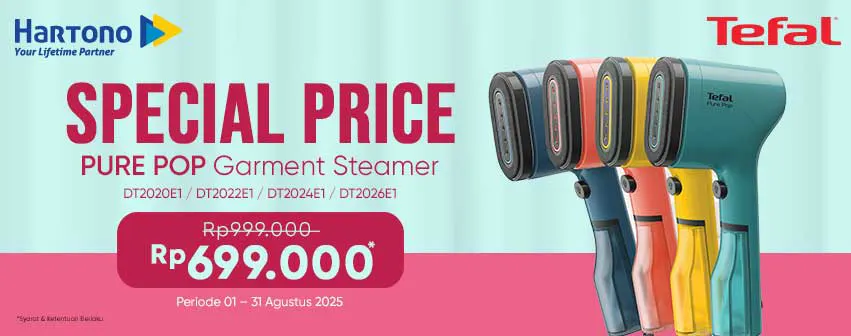 Tefal Vertical Steam Iron DT20E1 Special Price
