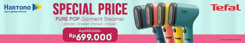Tefal Vertical Steam Iron DT20E1 Special Price
