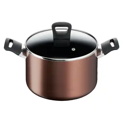 TEFAL PANCI KALDU 22 CM STOCK POT DAY BY DAY G1436195