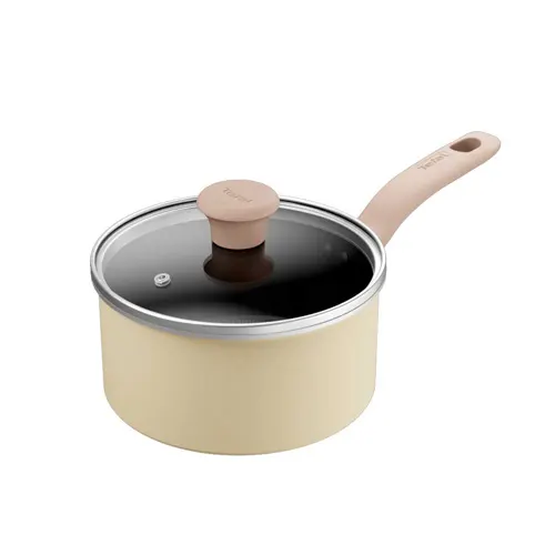 TEFAL PANCI BERGAGANG 18CM SAUCEPAN DAISY H0492324