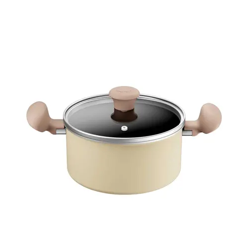 TEFAL PANCI KALDU 20CM STOCK POT DAISY H0494424
