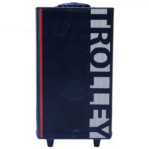 ROADMASTER SPEAKER AKTIF PA-101