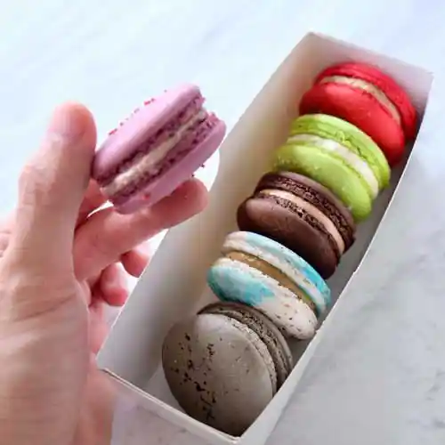 Macaron Lemon Poppy