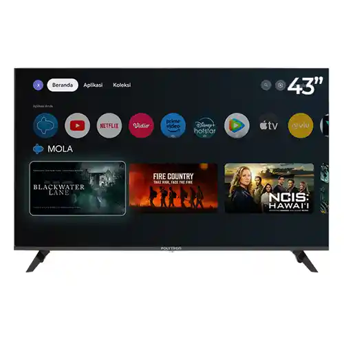 POLYTRON FULL HD SMART CINEMAX GOOGLE TV RG9059 SERIES