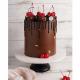 Double Dark Chocolate Spartak Cake