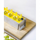 Calamansi Yoghurt Cheesecake