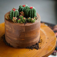 Buttercream Cactus Cake