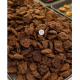 Double Choco Chips Cookies