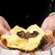 Bloeder Chocolate & Cheese