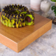Bolu Pandan Chocolate