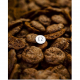 Double Chocochips Cookies